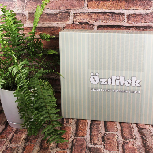 Постельное белье сатин Ozdilek Cizcil (Евро) фото 3